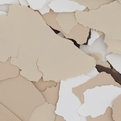 1” + 1/4” Flake - Cookie