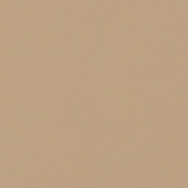 Solid - Baja Beige
