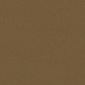 Solid - Mocha