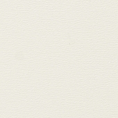Slatwall - White