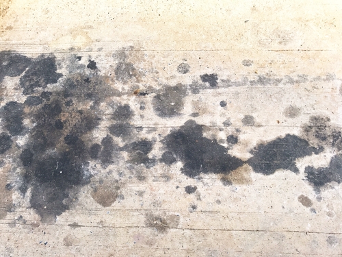 Oil stained concrete floor that is dirty.